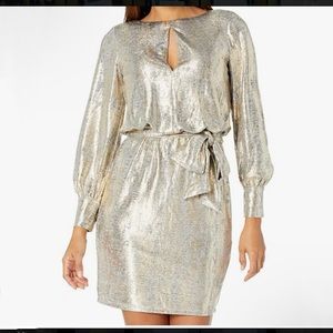Metallic Dress with Belt